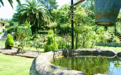 Ejercicios de 8 días abiertos en Celorio