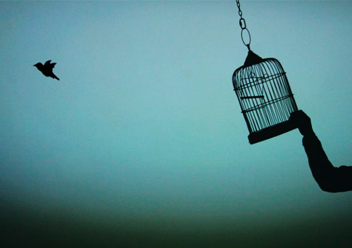 Indiferencia