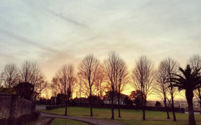 Ejercicios de 5 días en Pedreña