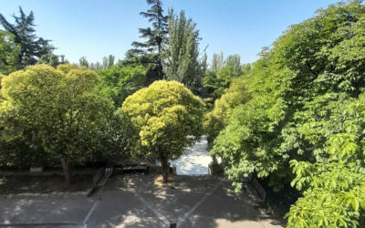 Ejercicios abiertos en Salamanca, Triduo Pascual 2026